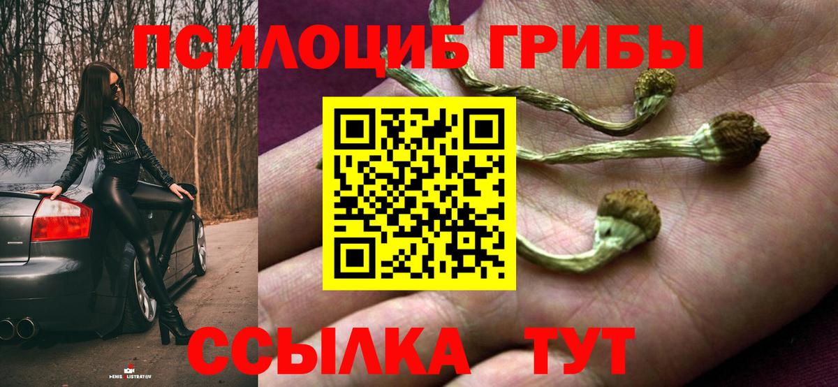 Галлюциногенные грибы MAGIC MUSHROOMS  Галлюциногенные грибы прущие грибы  Ачинск  Вход с VPN 